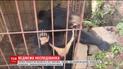 В Китае семья приютила медведя, воспринимая его за потерянного пса