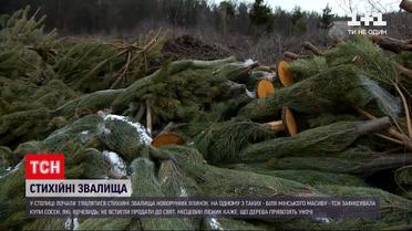 Новини Києва: у місті почали з'являтися стихійні звалища новорічних ялинок