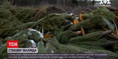 Новини Києва: у місті почали з'являтися стихійні звалища новорічних ялинок