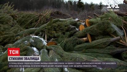 Новини Києва: у місті почали з'являтися стихійні звалища новорічних ялинок