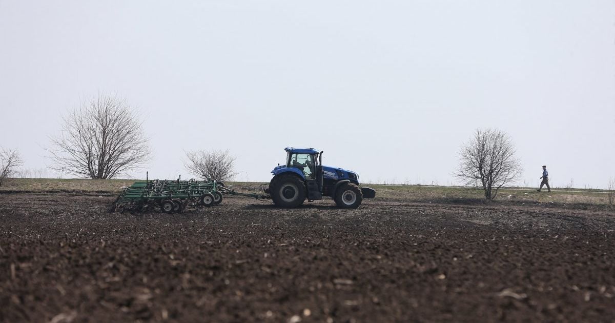 Стоимость земли может вырасти в три раза - Всемирный банк