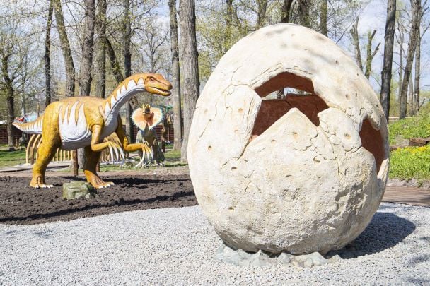  / © КГГА