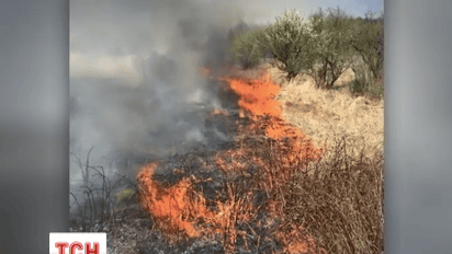 Біля Чорнобиля горить суха трава і чагарник
