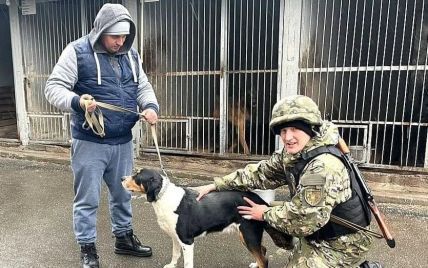 На Киевщине кинологи приютили собак, владельцы которых уехали и не смогли забрать животных