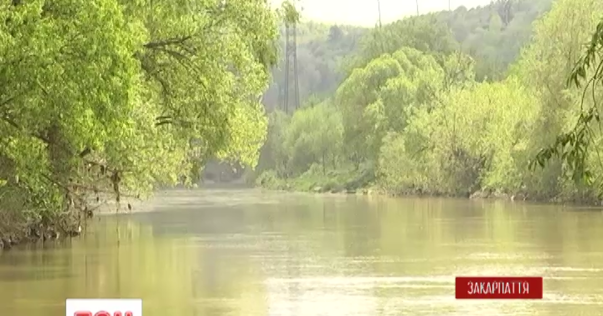 На Закарпатье большая вода размыла несколько километров дорог и подтопила села