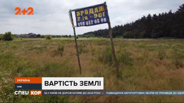 Бума не произошло: как работает рынок земли после отмены моратория