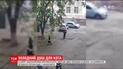 У Дніпрі працівники ДСНС зняли з дерева кота потужним потоком води з брандспойта