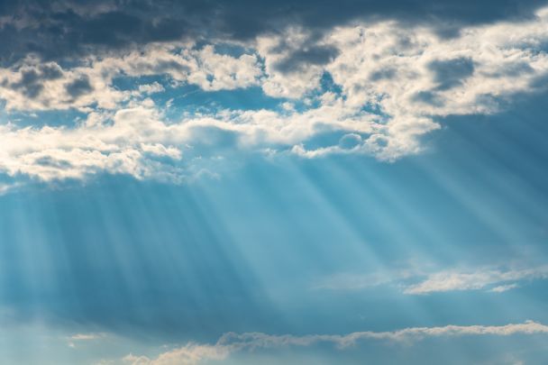 Народні прикмети на Благовіщення / © Pexels