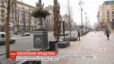 Каштани, платани чи вишні: у столиці вирішують, які дерева висадити на Хрещатику
