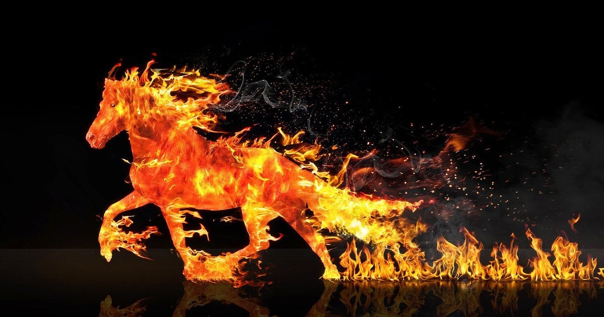 Яка тварина стане символом 2026 року