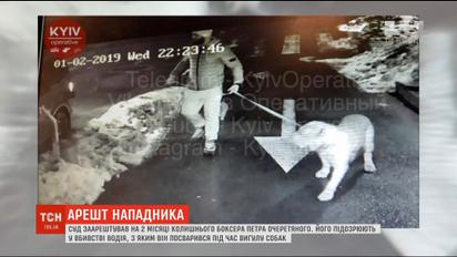 Столичний суд обрав запобіжний захід колишньому боксеру Петру Очеретяному