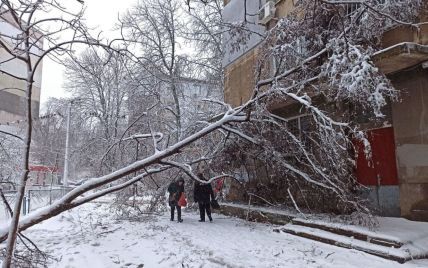 Опасный деревопад в Одессе: разрушены дома, повреждены машины, есть пострадавшие (фото)
