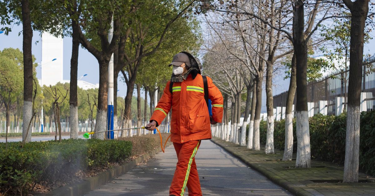Коронавіруси в Україні та світі: звідки вони беруться і чим загрожують