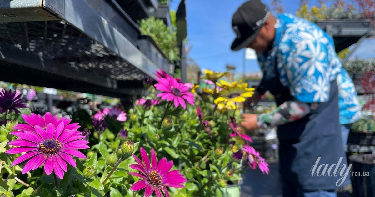 Весна на городі