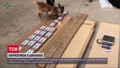 Наркотики в бананах: в Одеській області виявили понад 50 кілограмів еквадорського кокаїну