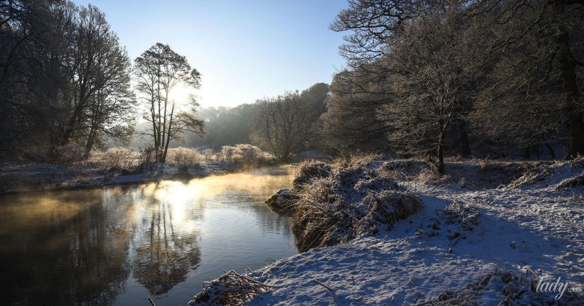 Гороскоп на 2 грудня