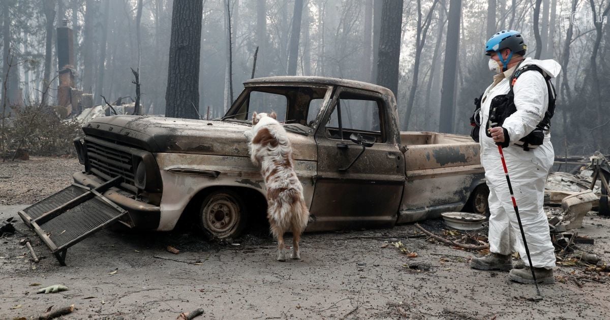 Количество жертв от масштабных лесных пожаров в Калифорнии достигло 59 человек