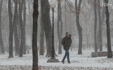 В Украине целую неделю будет идти дождь со снегом. Прогноз погоды до 26 ноября