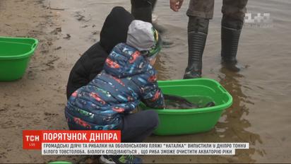 На оболонском пляже общественные деятели и рыбаки выпустили в Днепр тонну рыбы