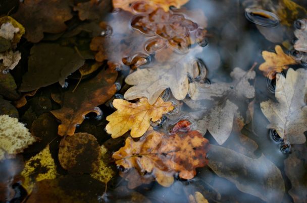 Народные приметы 10 октября / © Unsplash