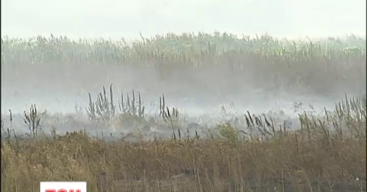 Київщина досі потерпає від смогу