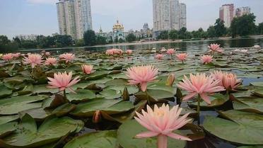 Фото: "Киев — мой любимый город"/Facebook