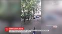 В Днепре спасатели брандспойтом снимали кота с дерева