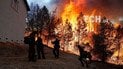 Трамп назвал виновных в лесных пожарах в Калифорнии