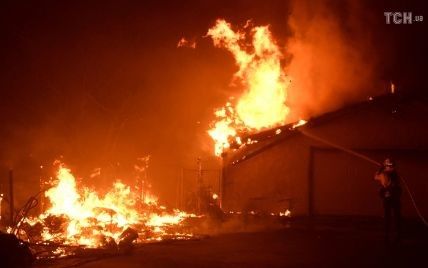 В Херсоне пожарные спасли животных из огня