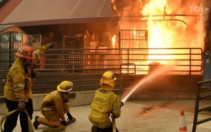 Мнение Трампа о причине пожаров в Калифорнии возмутило американцев