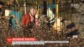 Почти по всей Украине в пятницу будет светить солнце