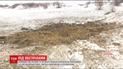 Российские наемники из артиллерии накрыли украинские позиции на Светлодарской дуге