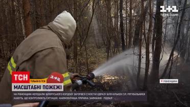 Новости Украины: пожары в Ровенской области удалось локализовать, но возникают новые возгорания