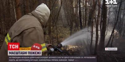 Новости Украины: пожары в Ровенской области удалось локализовать, но возникают новые возгорания