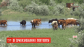 В Одесскую область надвигается большая вода: как местные жители готовятся к наводнению