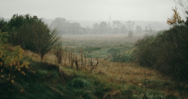 Народні прикмети 9 листопада / © unsplash.com