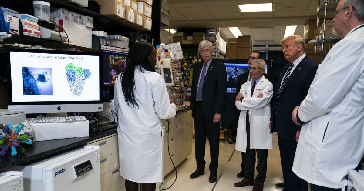 Американские медики считают решение Трампа приостановить финансирование ВОЗ "опасным"