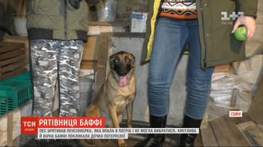 В Сумах собака спасла хозяйку, которая упала в погреб