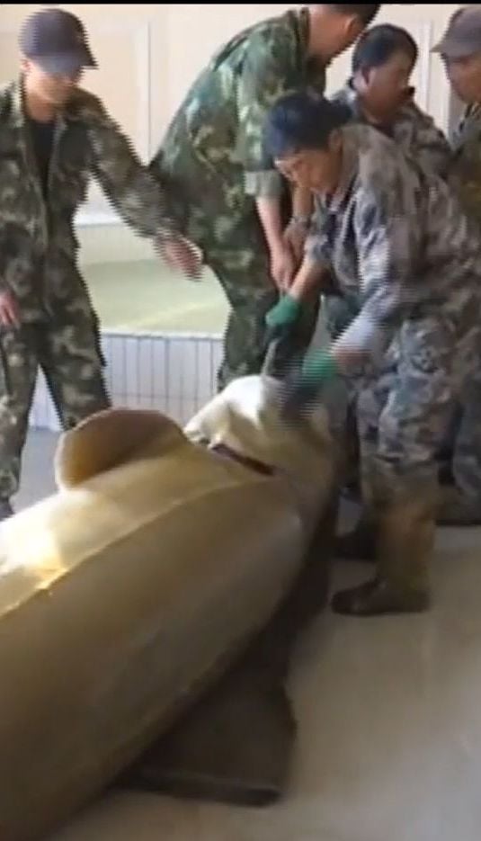 В Китае рыбак поймал гигантскую калугу, которая весит более 500 килограмм