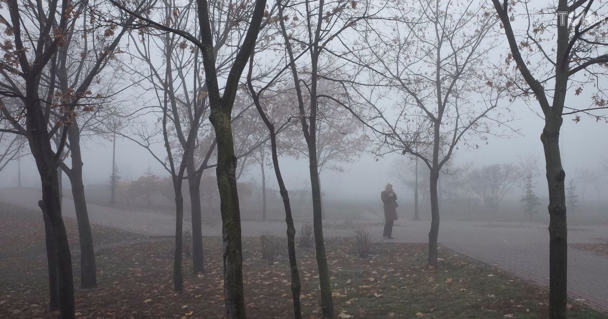 В понедельник будет холодно и ветрено. Прогноз погоды на 12 ноября