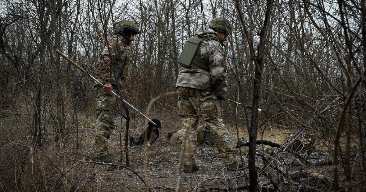 На Запоріжжі чоловік загинув від вибуху боєприпасу, коли збирав гриби (фото)