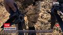 Новини з фронту: українські війська втихомирили ворога із дозволеного Мінськом озброєння