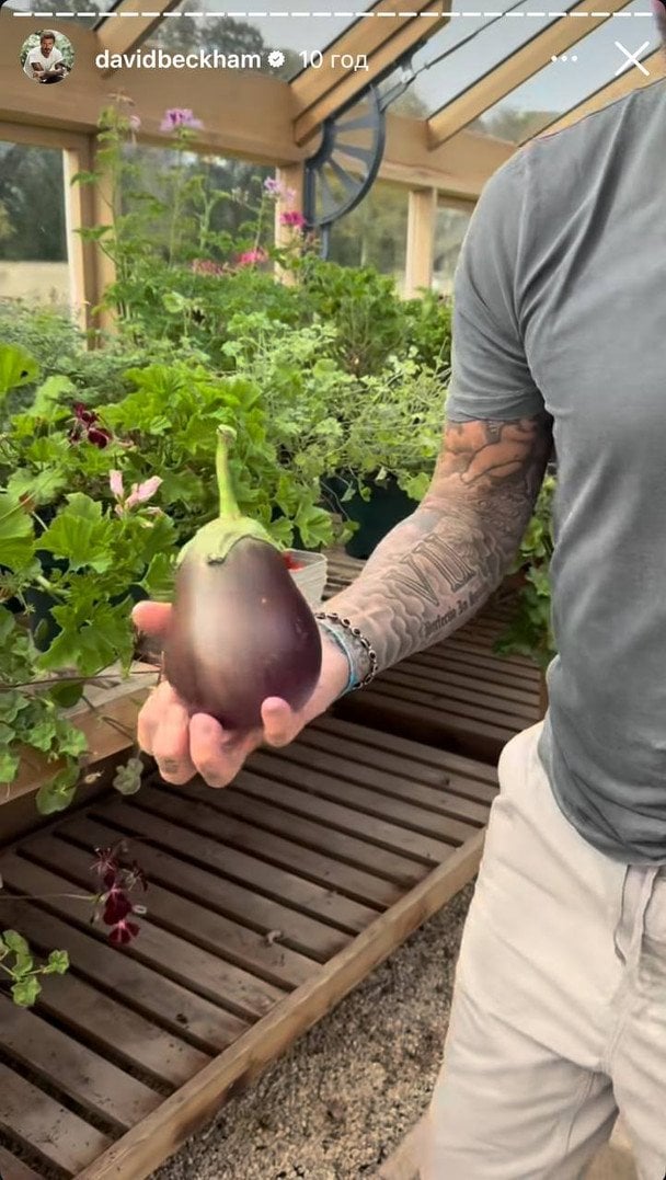 Баклажан із теплиці Девіда Бекхема.