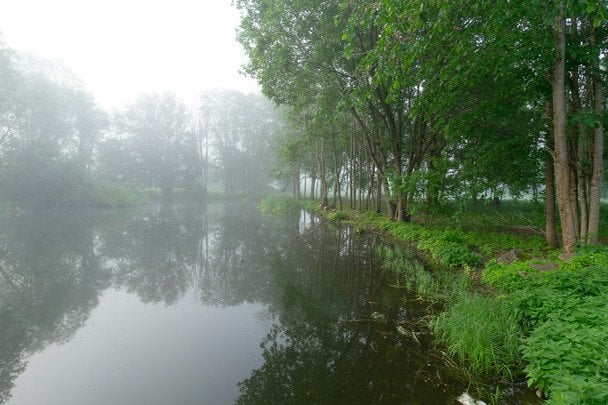 9 червня вранці туман — чекайте на дощ після обіду / © unsplash.com