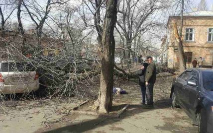 У центрі Одеси буревій повалив дерево і вбив літню жінку