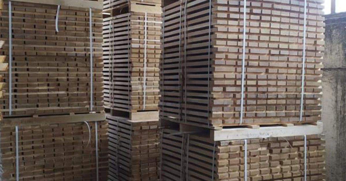 СБУ ліквідувала схему незаконного експорту державного лісу через підсанкційні компанії Фірташа_6 / © Служба безпеки України