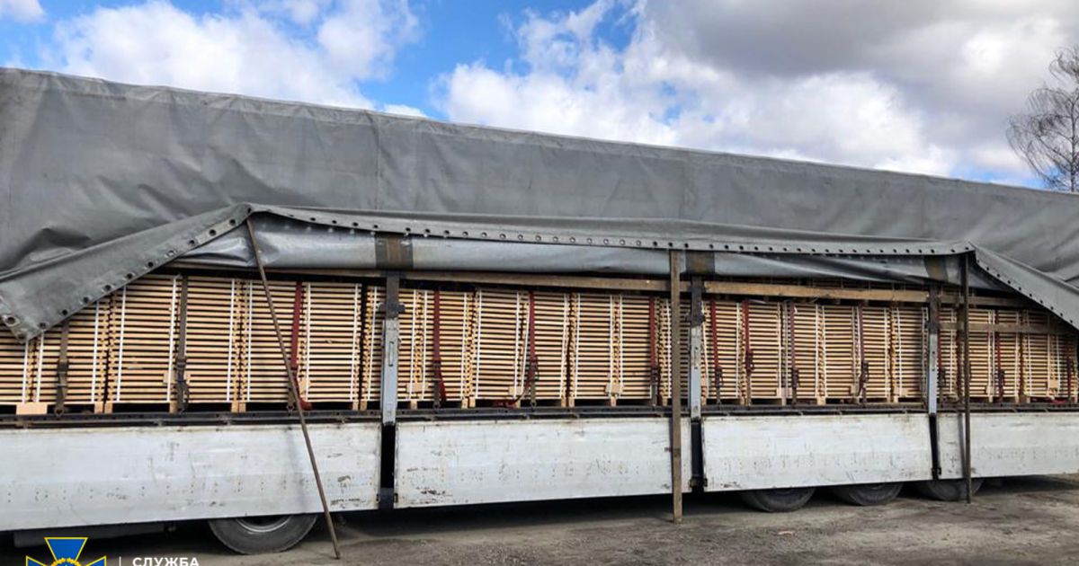 СБУ ліквідувала схему незаконного експорту державного лісу через підсанкційні компанії Фірташа_5 / © Служба безпеки України