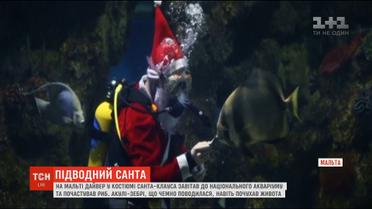 Санта-Клаус привітав риб, які мешкають у національному акваріумі на Мальті