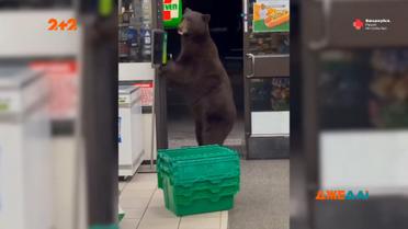 Подборка новостей мира за 30 ноября 2021 года