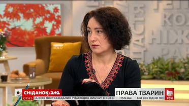 Зоозахисниця прокоментувала новий законопроект щодо обов’язкової реєстрації тварин